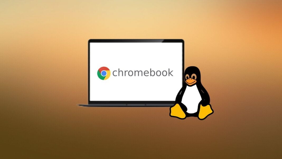 linux on chromebook