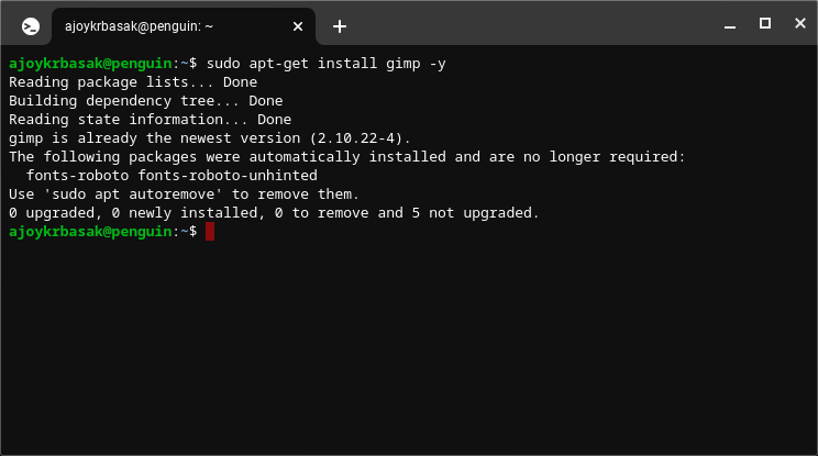 Terminal Command to Install GIMP