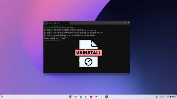 How to Remove Linux Development Environment on Chromebook