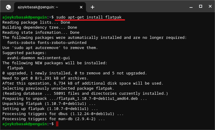 Running sudo apt-get install flatpak on the Linux Terminal on Chromebook