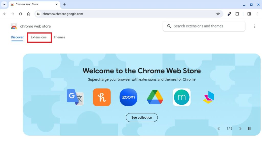 Download Extensions from Chrome Web Store
