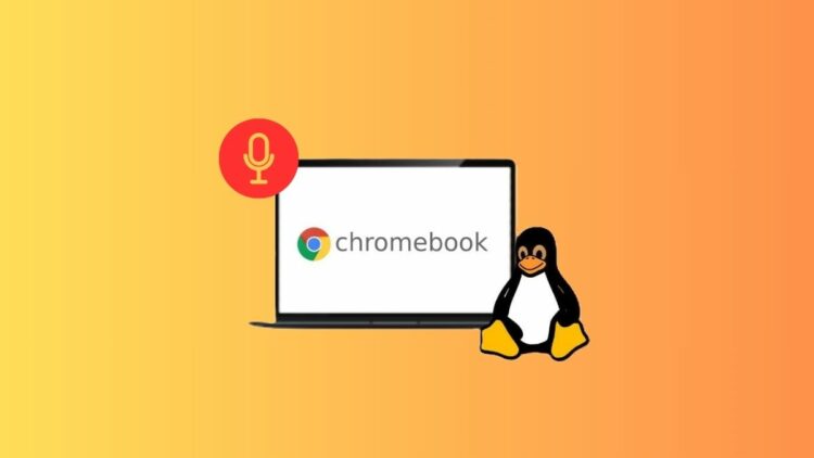 How to Enable Microphone in Linux on Chromebook